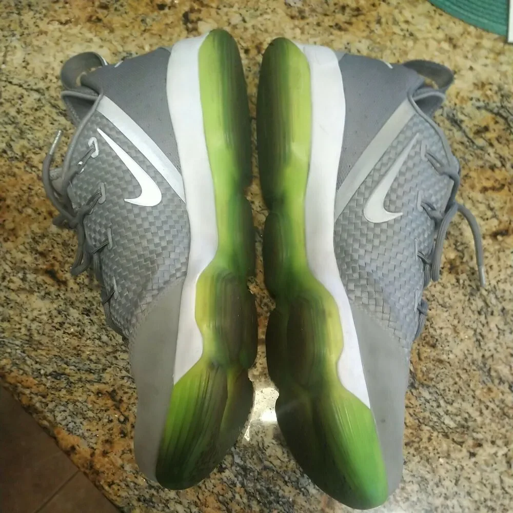 Nike Air Zoom Max LeBron James XIV 14 Low Dunkman Dust Reflect Silver 878636 005